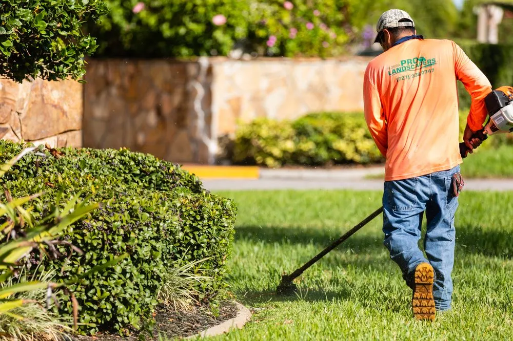Affordable outdoor landscaping in Port Richey, FL - Florida Pro Landscapers