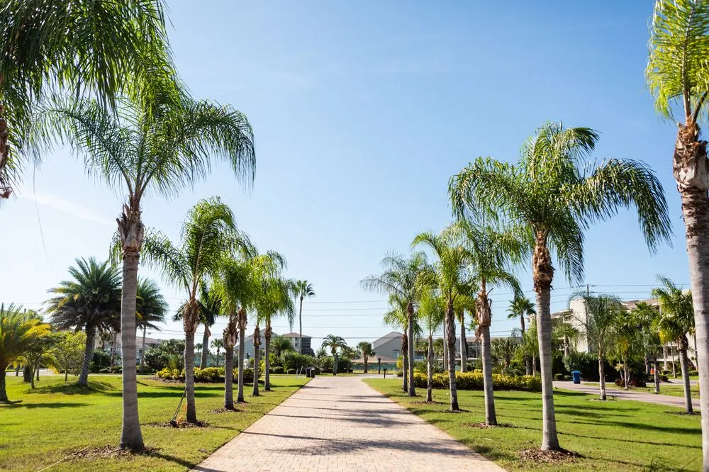 Trusted garden landscaping in Port Richey, FL by Florida Pro Landscapers