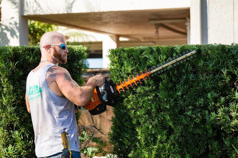 Professional landscape design in Port Richey, FL by Florida Pro Landscapers