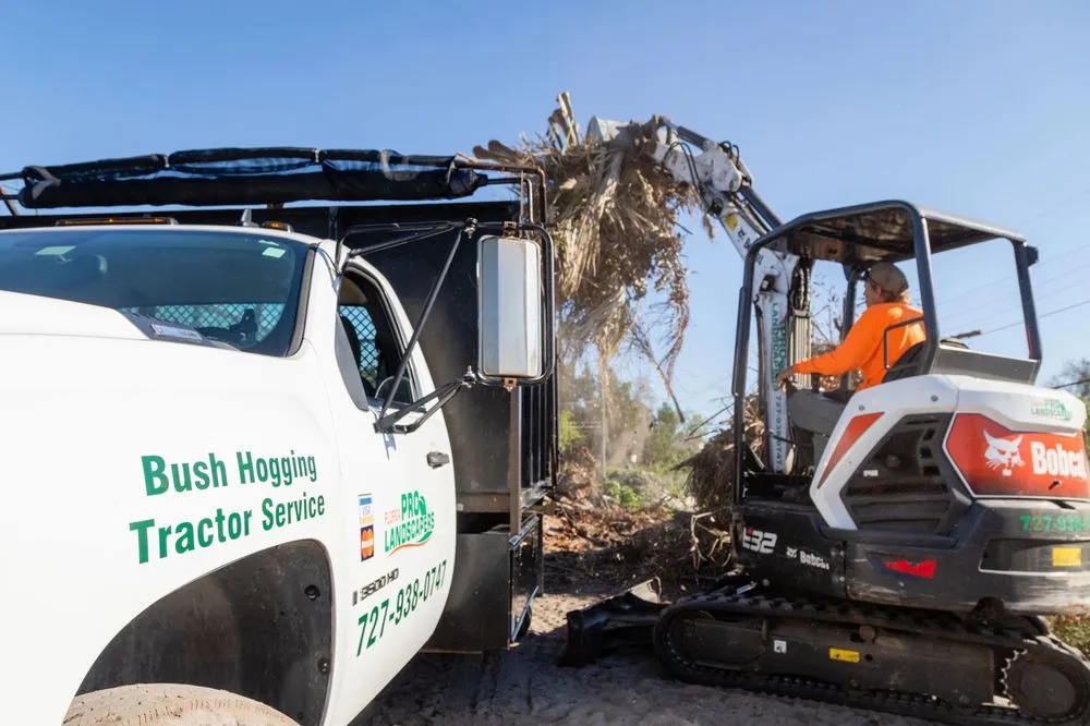 Top-rated yard cleanup service in Port Richey, FL - Florida Pro Landscapers
