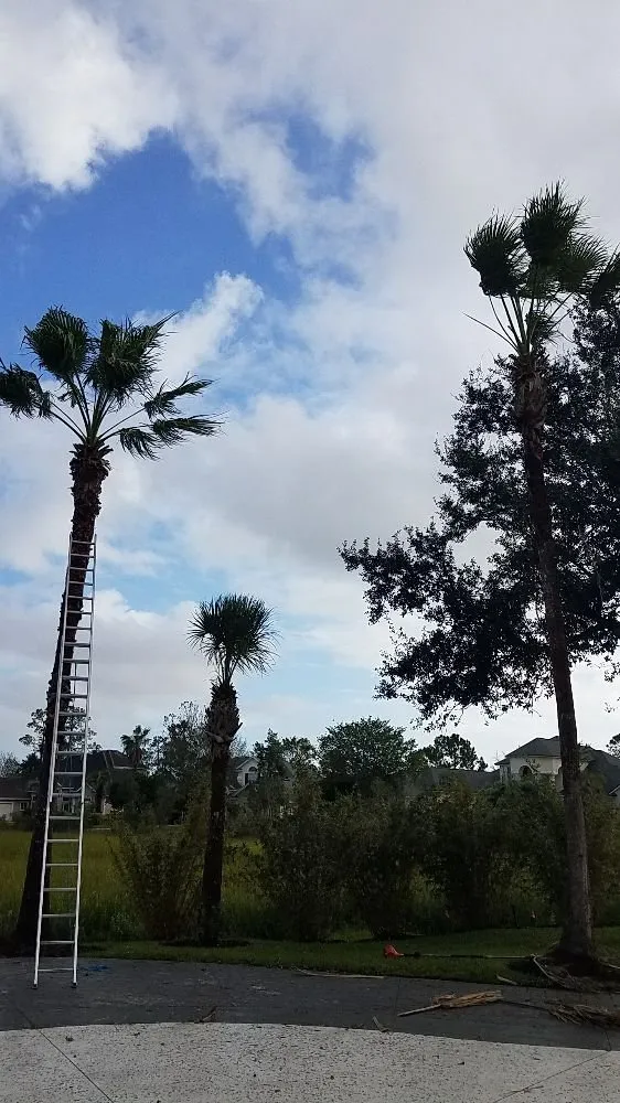 Custom residential landscaping for year-round maintenance across Atlantic Beach, FL - Florida Pro Lawn Care