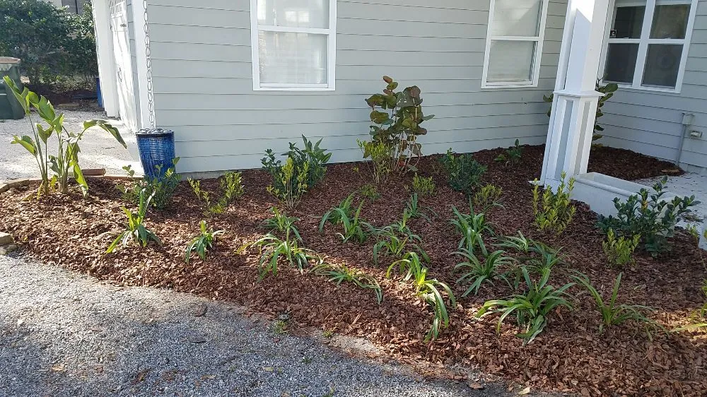 Reliable landscape design in Atlantic Beach, FL - Florida Pro Lawn Care