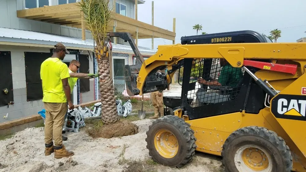 Local residential landscaping near you in Atlantic Beach, FL by Florida Pro Lawn Care