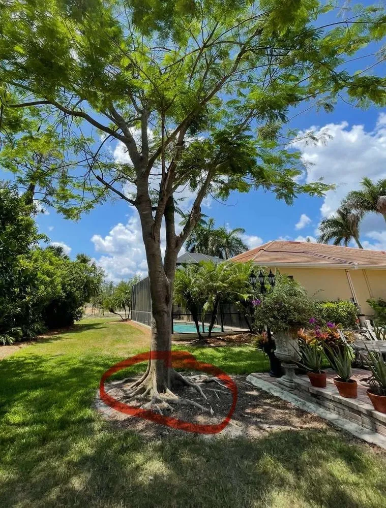 Trusted lawn mowing service in Naples, FL by Florida Root & Stump