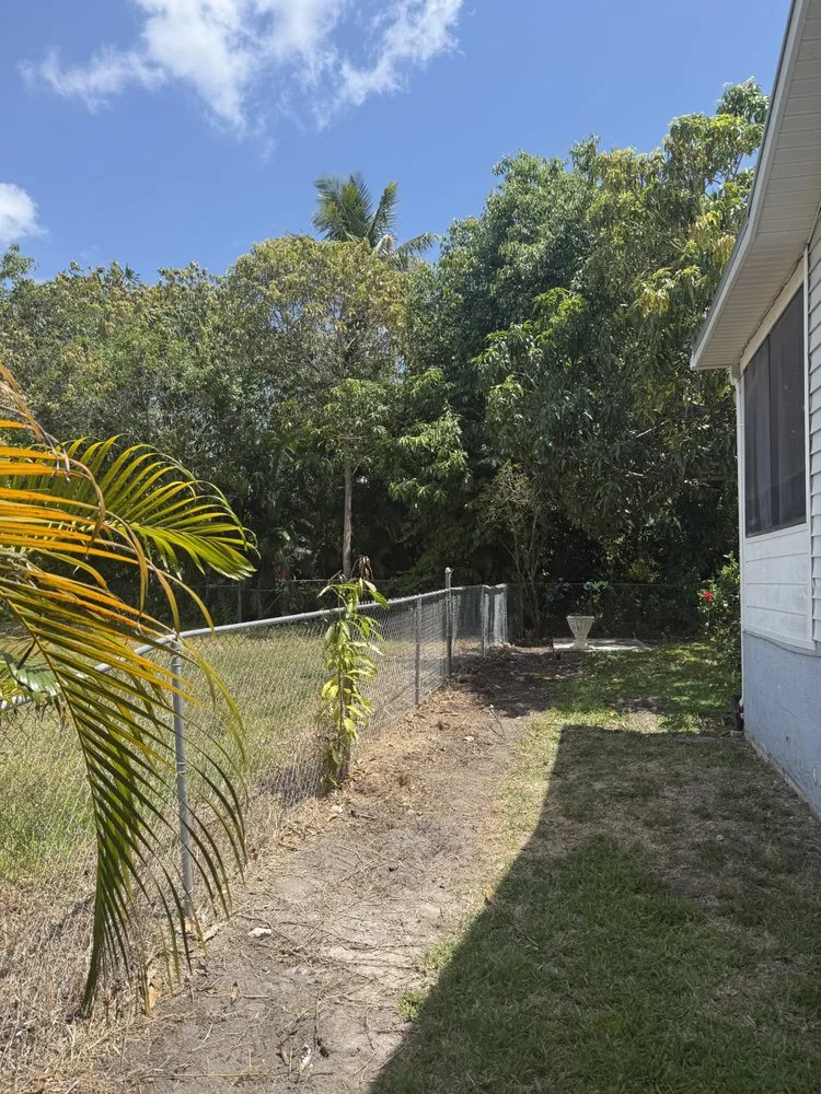 Top-rated landscape installation in Naples, FL - Florida Root & Stump