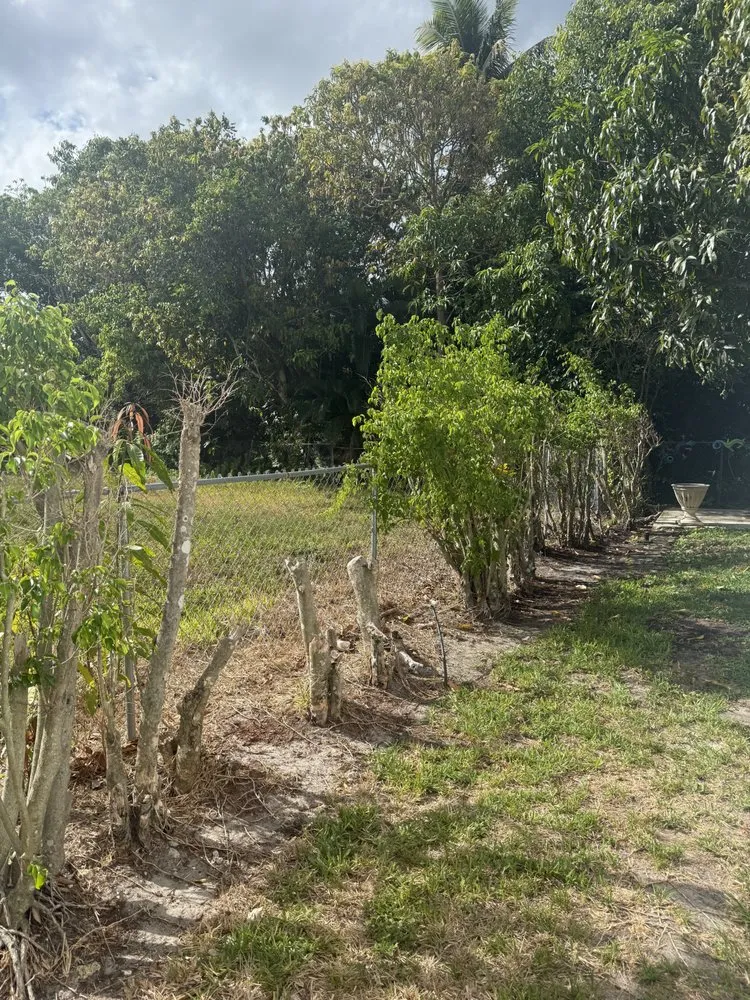 Professional landscaping services in Naples, FL by Florida Root & Stump