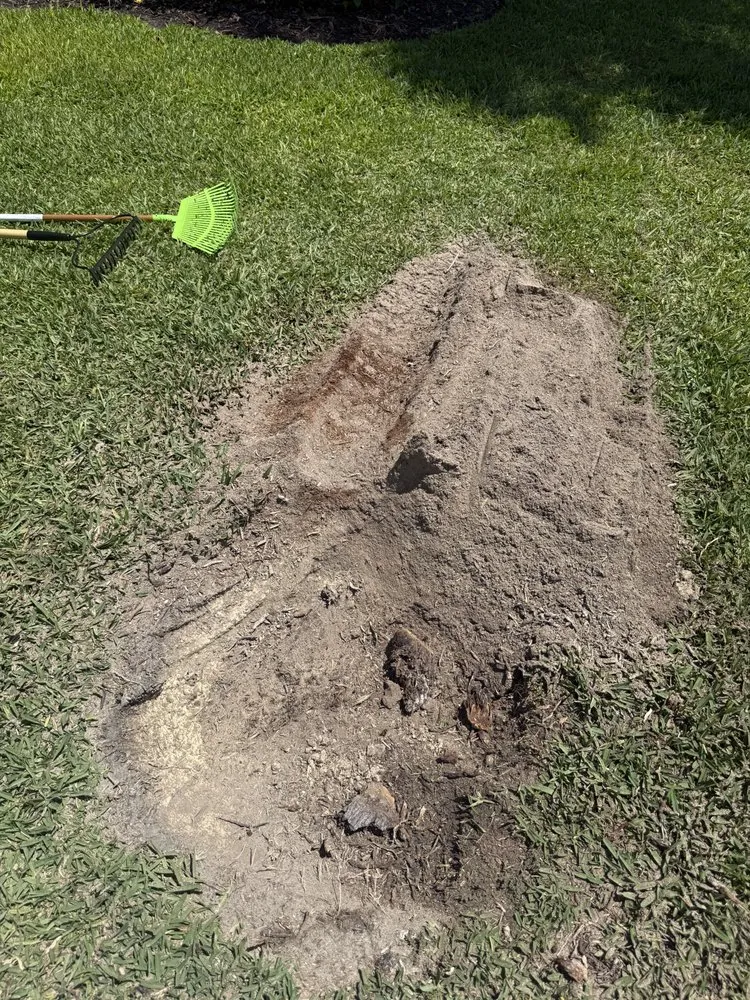 Affordable yard cleanup service in Naples, FL by Florida Root & Stump