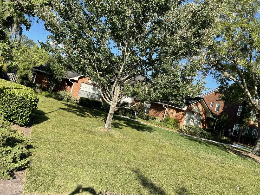 Top-rated outdoor landscaping for outdoor upgrades in Jacksonville, FL by Florida Scape of Jacksonville