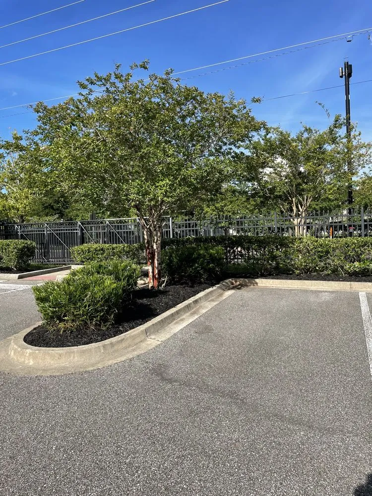 Professional landscape design in Jacksonville, FL by Florida Scape of Jacksonville