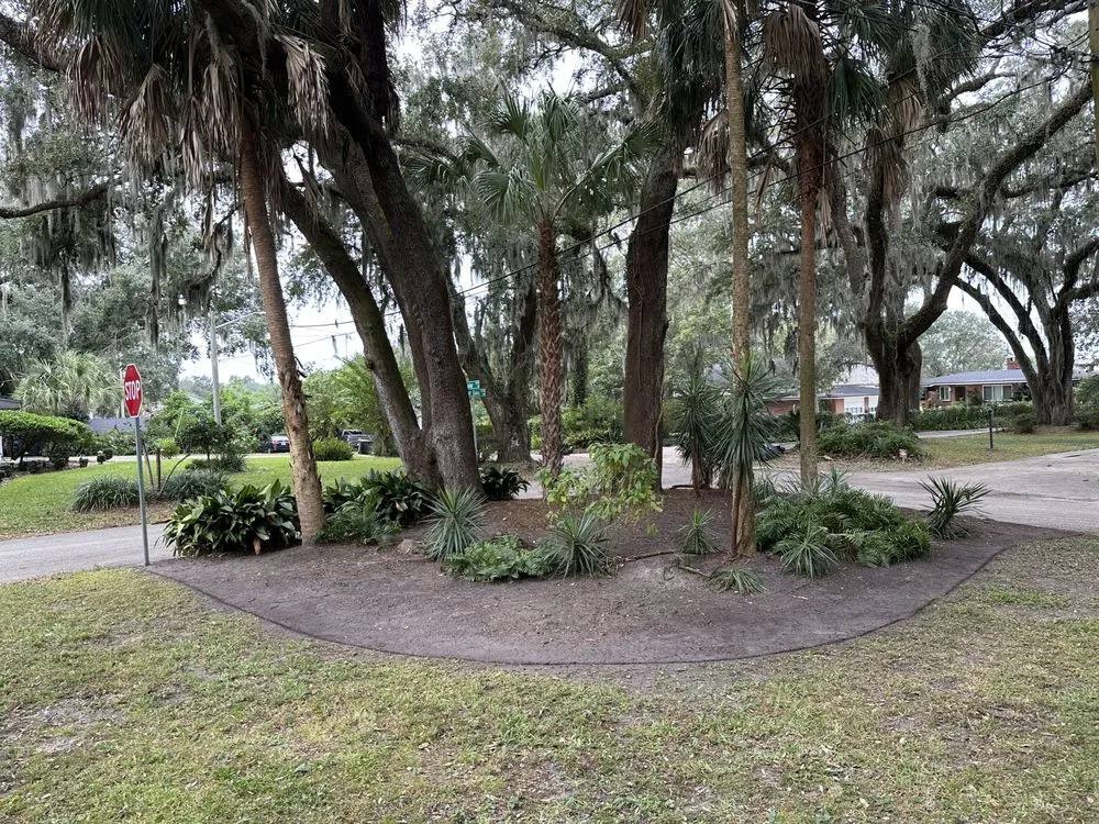 Trusted yard cleanup service in Jacksonville, FL - Florida Scape of Jacksonville