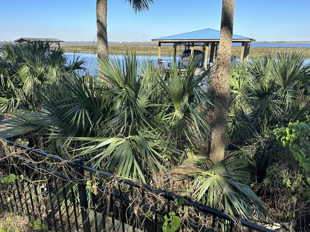 Custom yard cleanup service near you in Jacksonville, FL by Florida Scape of Jacksonville