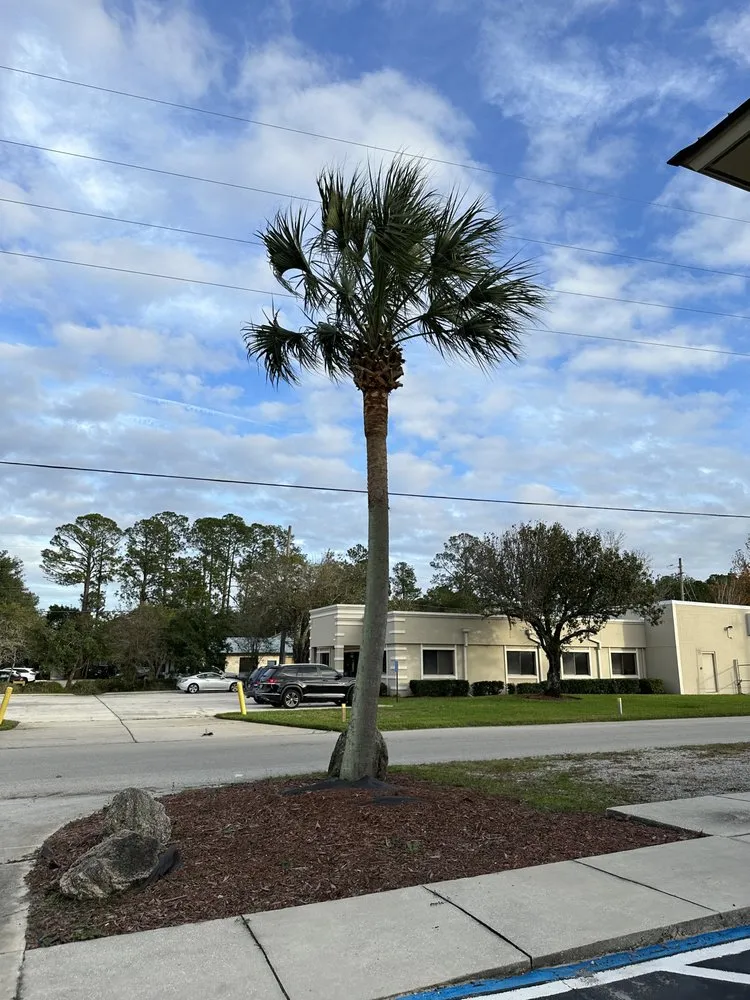 Expert landscape design in Jacksonville, FL - Florida Scape of Jacksonville