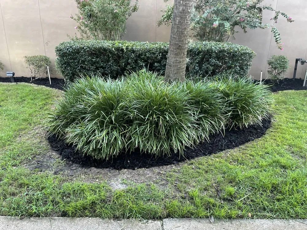Affordable landscape installation with custom design in Jacksonville, FL by Florida Scape of Jacksonville