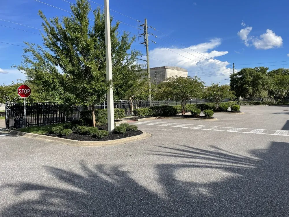 Reliable yard cleanup service experts serving Jacksonville, FL - Florida Scape of Jacksonville