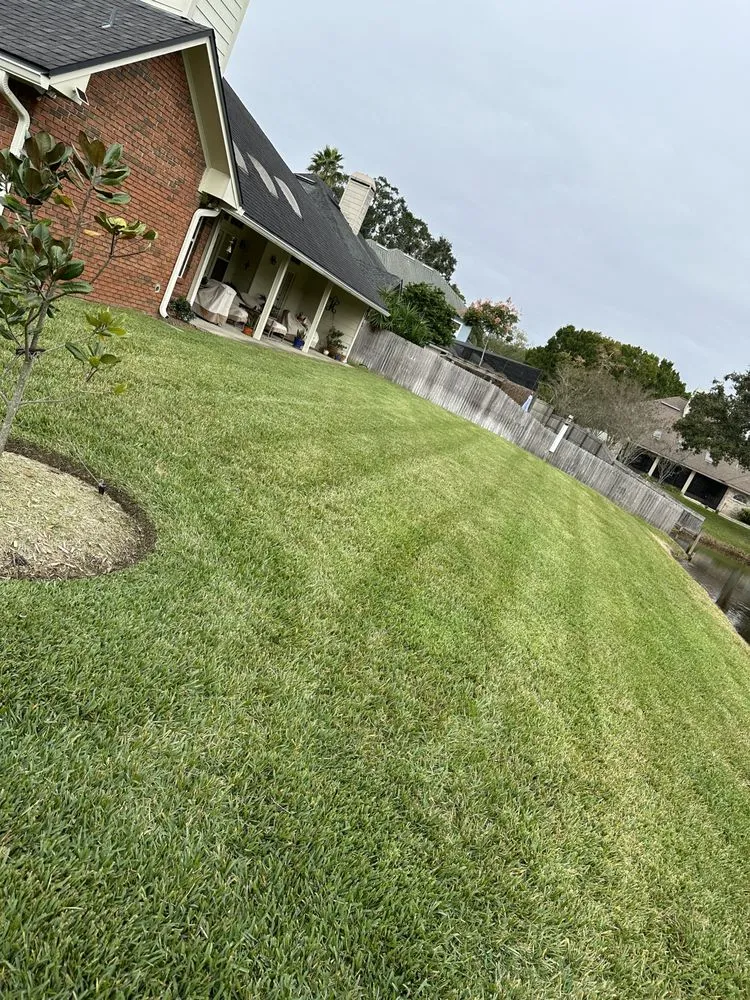 Professional garden landscaping for beautiful yards across Jacksonville, FL - Florida Scape of Jacksonville