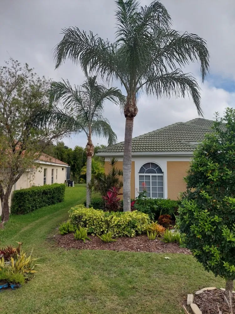 Top-rated lawn mowing service for outdoor upgrades across Sarasota, FL - Florida Southern Lawn Maintenance