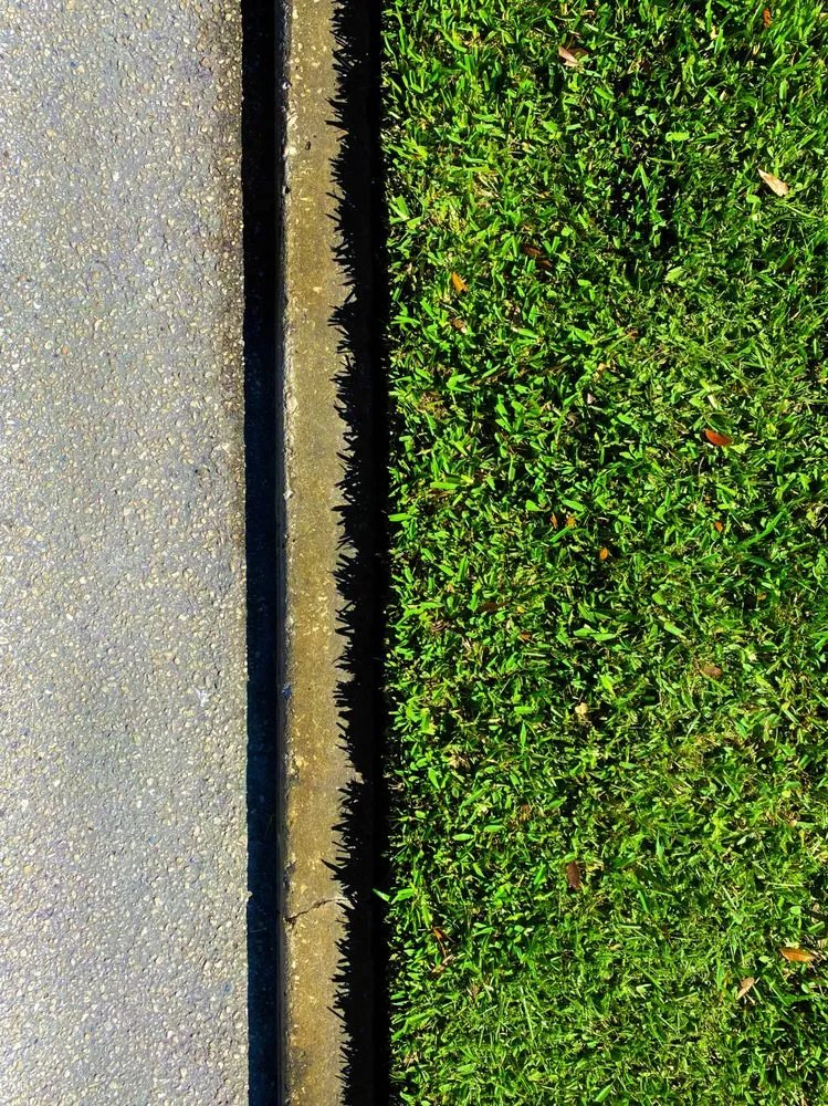 Top-rated yard maintenance for outdoor upgrades across St. Petersburg, FL - Florida Supreme Green