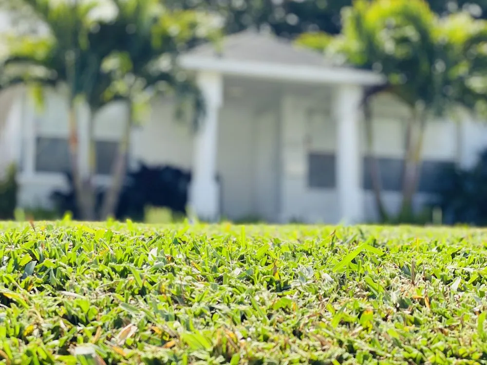 Professional landscaping services for year-round maintenance across St. Petersburg, FL - Florida Supreme Green