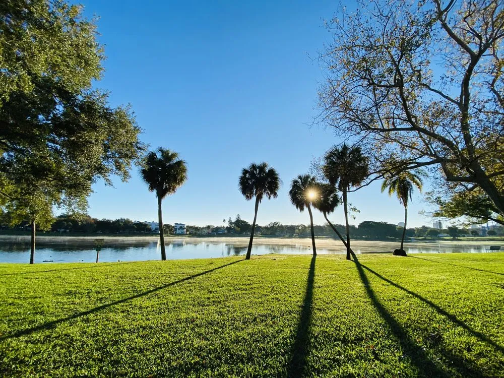 Reliable residential landscaping in St. Petersburg, FL - Florida Supreme Green