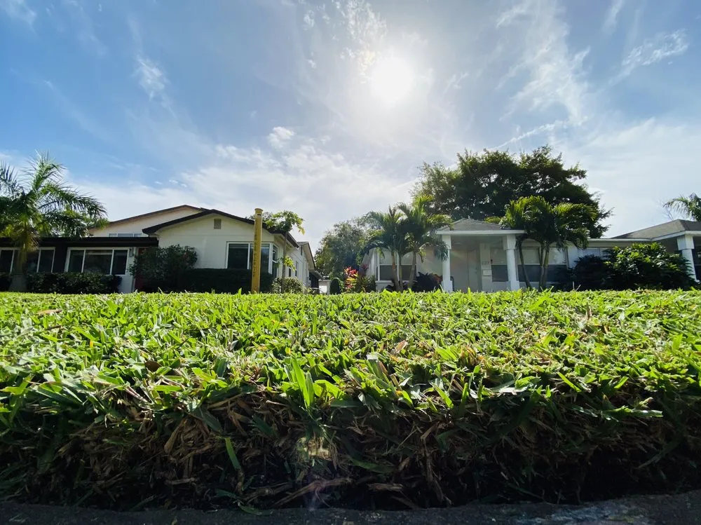 Custom landscape installation in St. Petersburg, FL - Florida Supreme Green