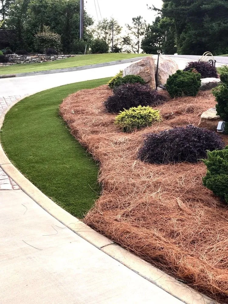 Custom landscape design in Summerfield, FL - Florida Textraw