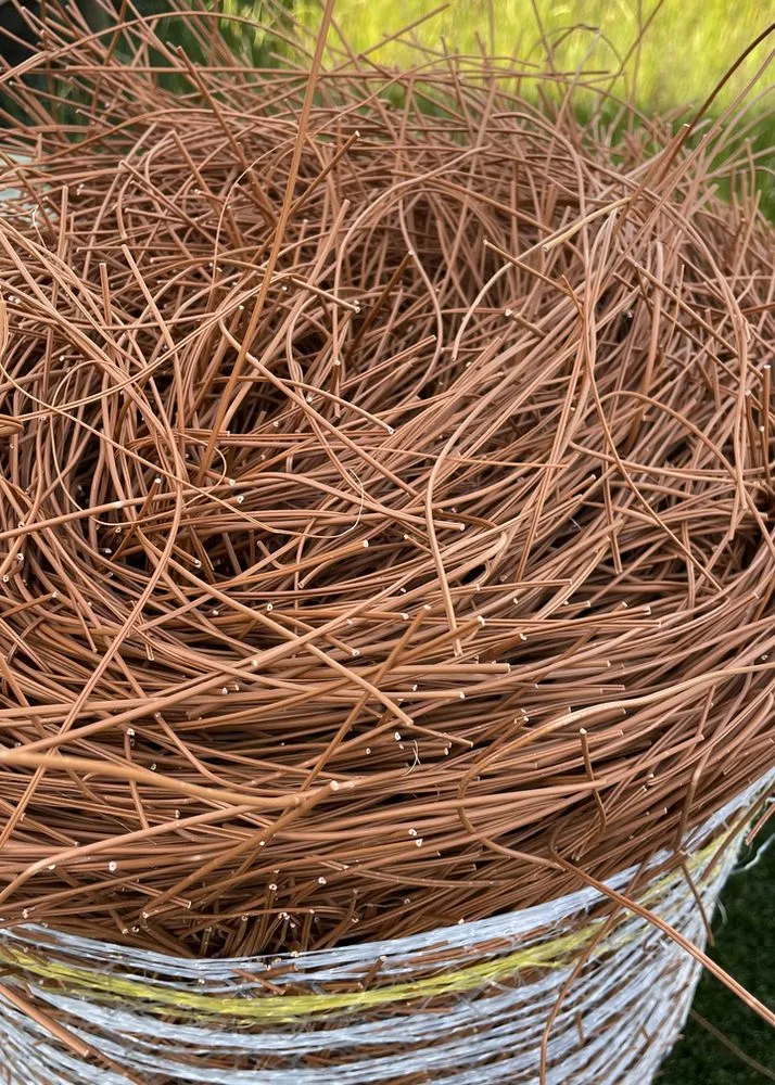 Trusted landscape installation experts serving Summerfield, FL - Florida Textraw