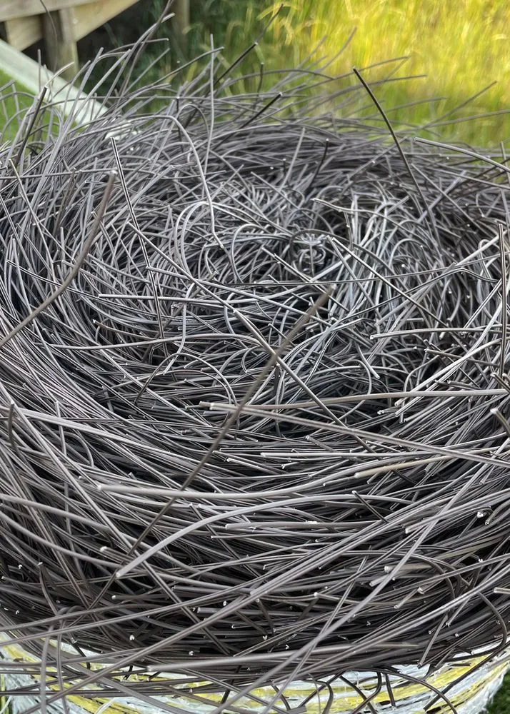 Local yard cleanup service in Summerfield, FL - Florida Textraw