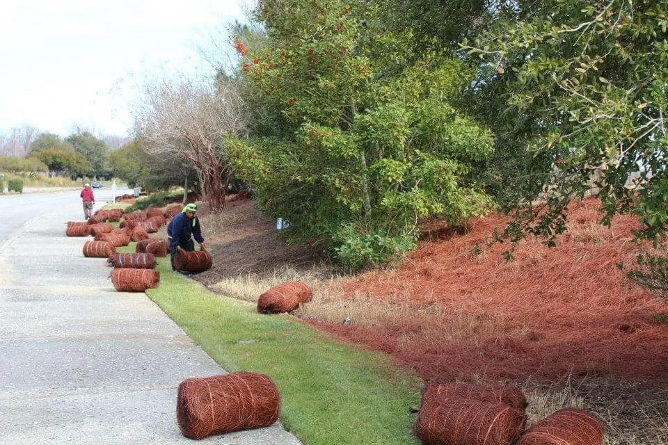 Affordable yard maintenance experts serving Summerfield, FL - Florida Textraw