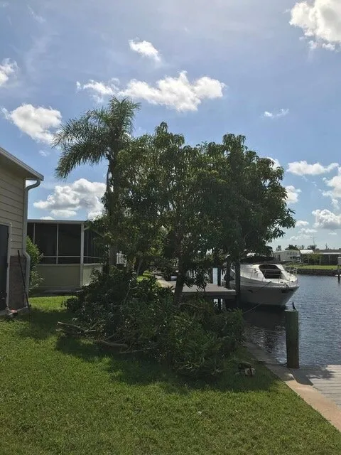 Custom yard maintenance experts serving Punta Gorda, FL - Florida Tree & Ground Maintenance