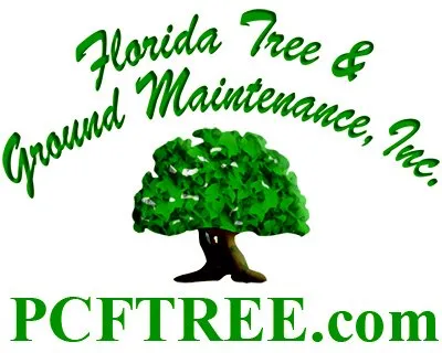 Affordable lawn mowing service near you across Punta Gorda, FL - Florida Tree & Ground Maintenance