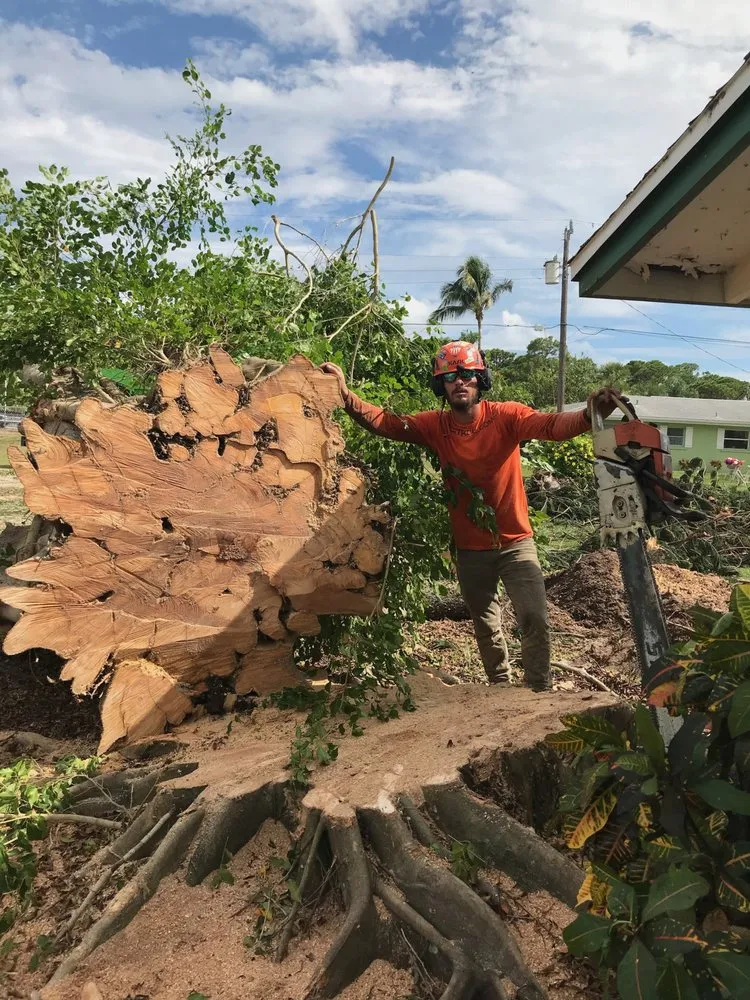 Custom landscape installation in Punta Gorda, FL by Florida Tree & Ground Maintenance