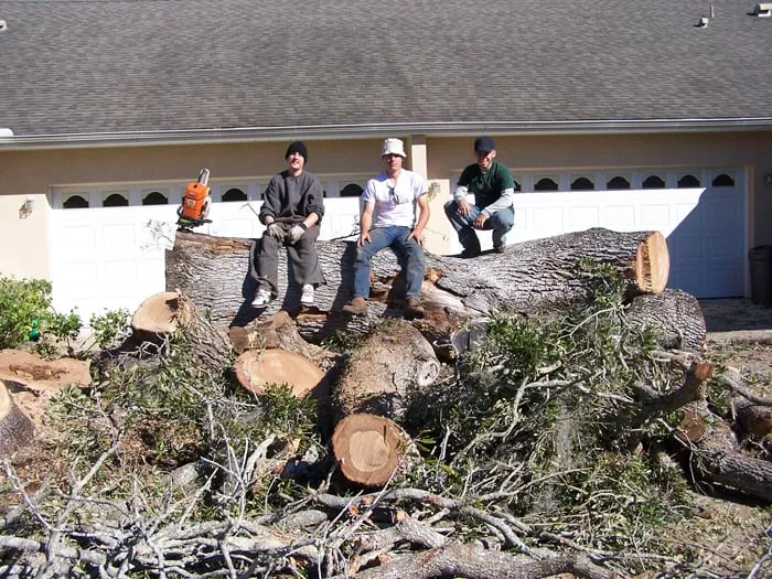 Trusted yard maintenance for outdoor upgrades across Punta Gorda, FL - Florida Tree & Ground Maintenance