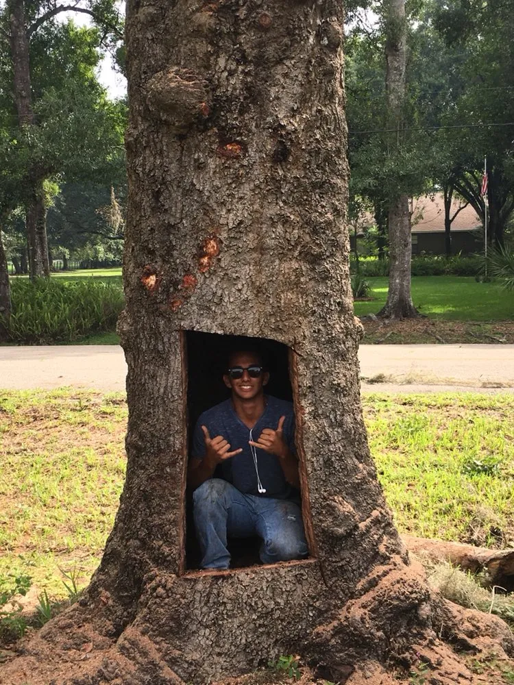 Top-rated landscape installation for outdoor upgrades across Punta Gorda, FL - Florida Tree & Ground Maintenance