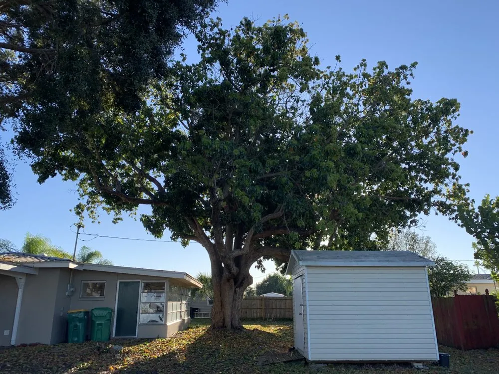 Custom lawn mowing service for year-round maintenance in Punta Gorda, FL by Florida Tree & Ground Maintenance