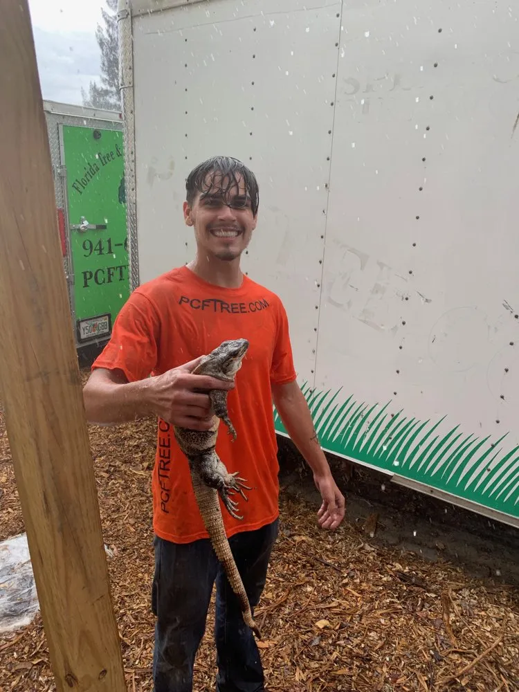 Expert yard maintenance for beautiful yards across Punta Gorda, FL - Florida Tree & Ground Maintenance