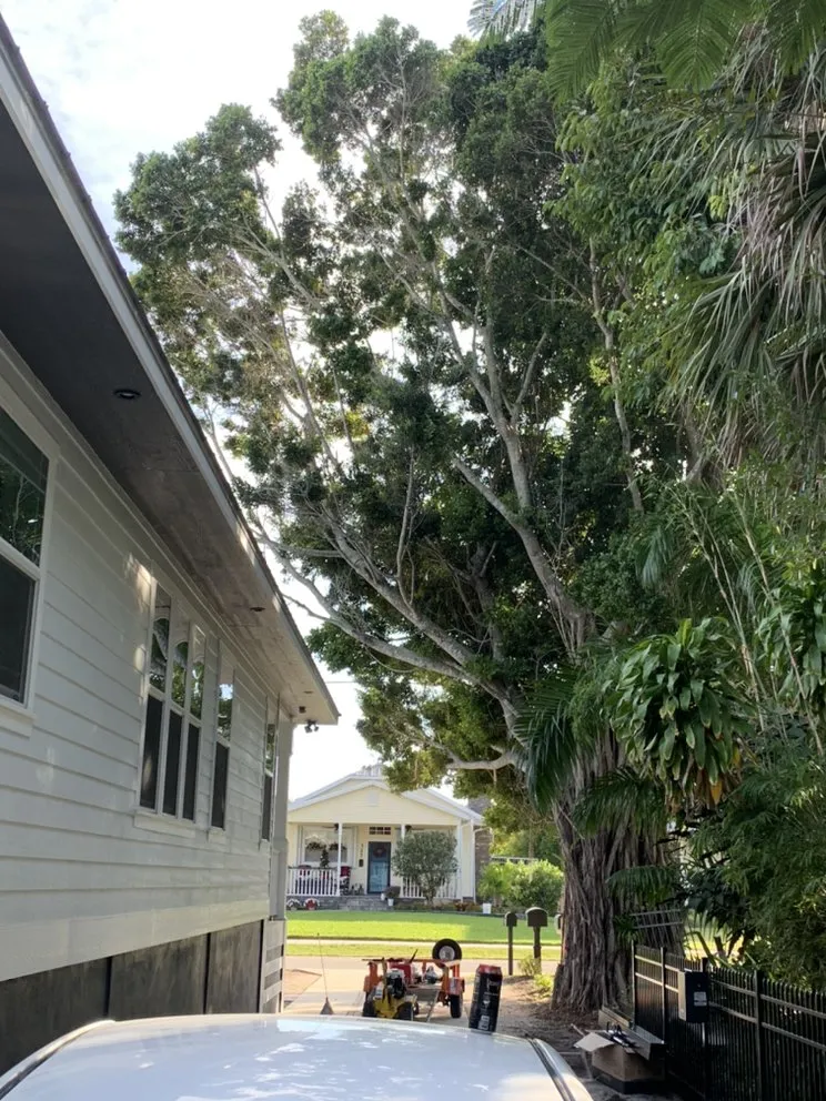 Reliable landscape installation for homes across Punta Gorda, FL - Florida Tree & Ground Maintenance