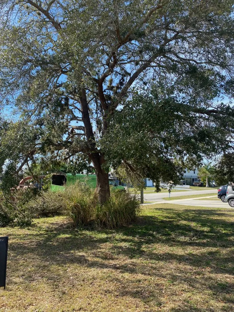 Top-rated outdoor landscaping experts serving Punta Gorda, FL - Florida Tree & Ground Maintenance