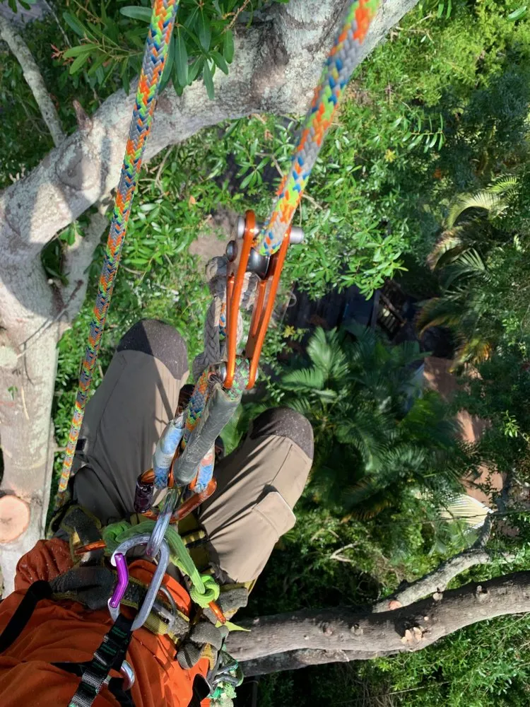 Trusted lawn mowing service in Punta Gorda, FL by Florida Tree & Ground Maintenance