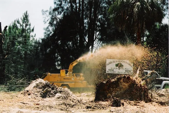 Custom lawn mowing service for year-round maintenance across Punta Gorda, FL - Florida Tree & Ground Maintenance