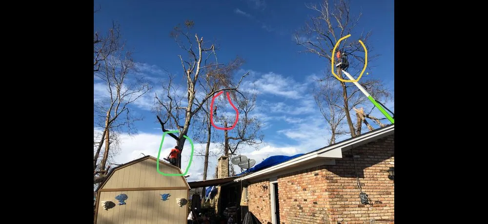 Professional garden landscaping in Punta Gorda, FL - Florida Tree & Ground Maintenance