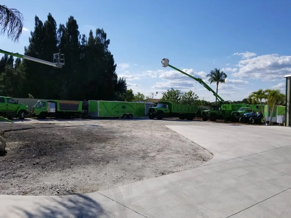Top-rated landscaping services experts serving Punta Gorda, FL - Florida Tree & Ground Maintenance
