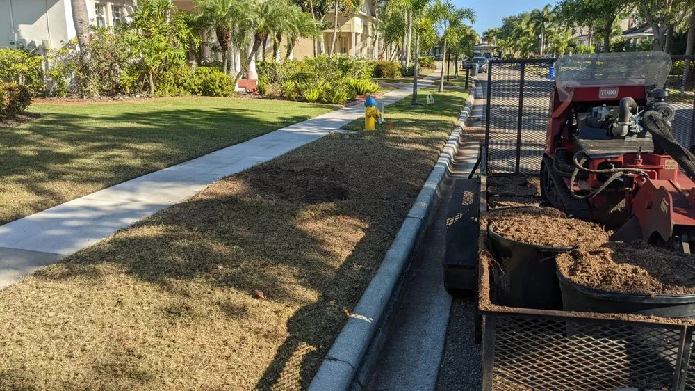 Affordable lawn care service near you in Brandon, FL by Florida Tree & Stump