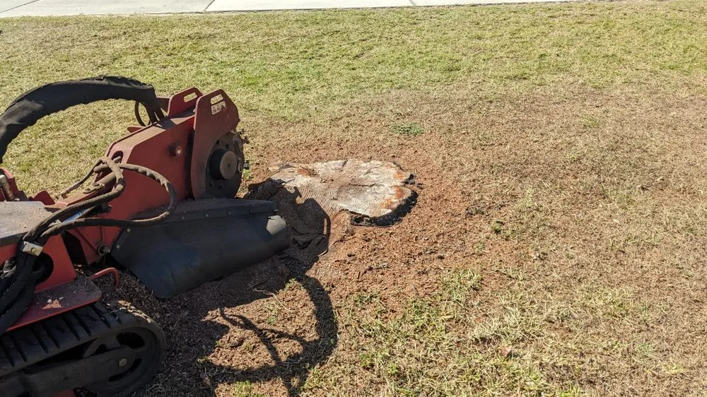 Affordable outdoor landscaping experts serving Brandon, FL - Florida Tree & Stump