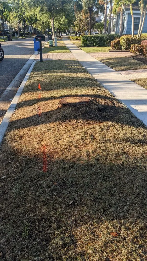 Reliable garden landscaping experts serving Brandon, FL - Florida Tree & Stump