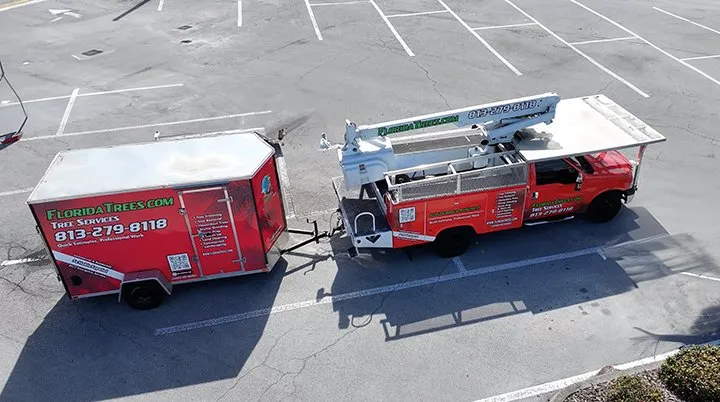 Local lawn care service for homes in Safety Harbor, FL by Florida Trees