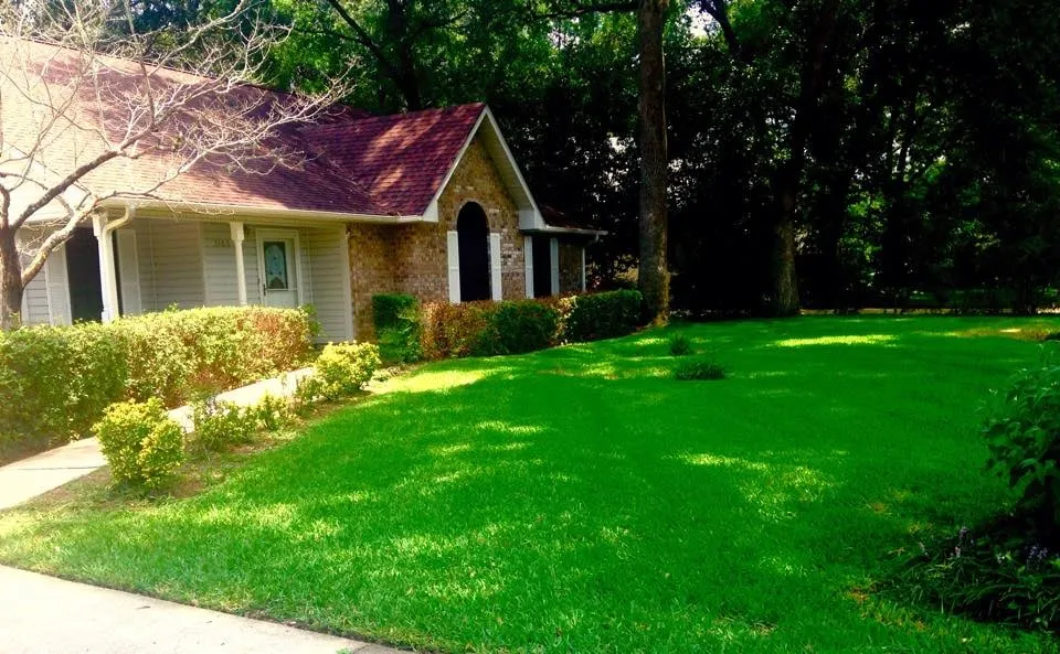 Affordable landscaping services for outdoor upgrades in Pace, FL by Florida Turf Pros