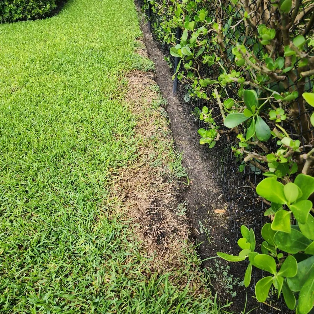 Top-rated yard cleanup service in Boca Raton, FL - Florida's Best Lawn and Pest