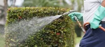 Custom lawn mowing service in Boca Raton, FL by Florida's Best Lawn and Pest