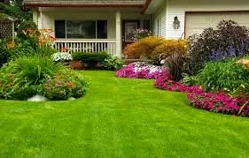 Trusted yard maintenance experts serving Boca Raton, FL - Florida's Best Lawn and Pest