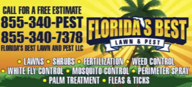 Trusted yard cleanup service with custom design in Boca Raton, FL by Florida's Best Lawn and Pest